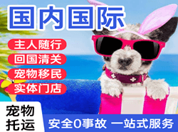 涟水航空托运国际宠物托运 【国